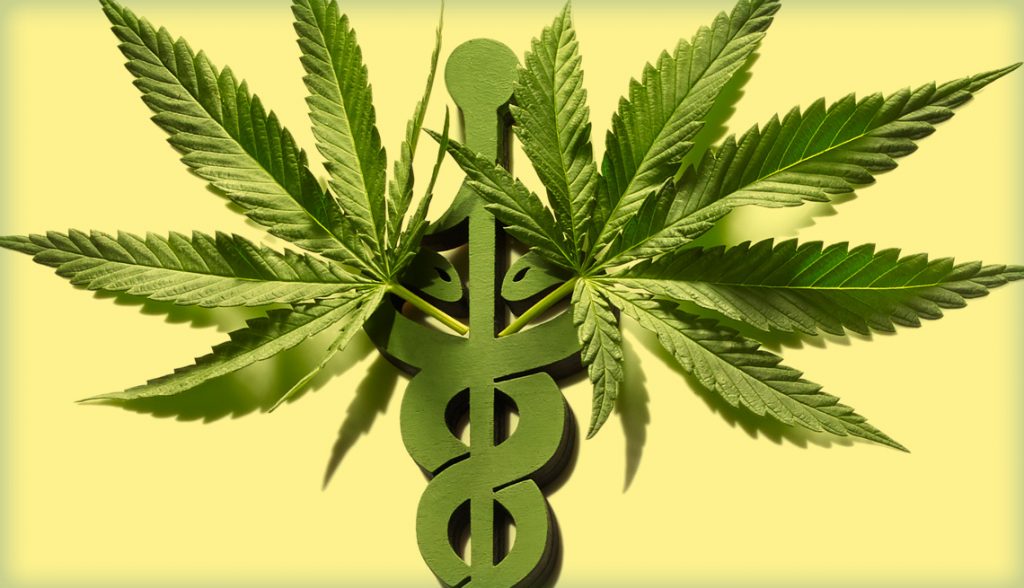 The Online Access to the Medical Cannabis Program