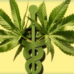 The Online Access to the Medical Cannabis Program