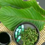 Exploring Kratom's Potential for Pain Relief