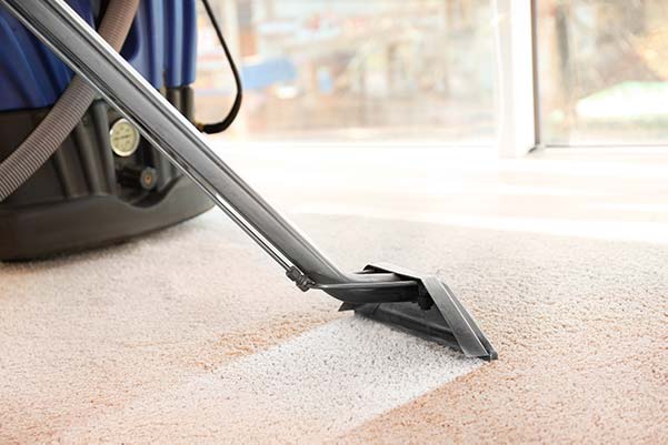 Opting For Professional Carpet Cleaning In San Diego