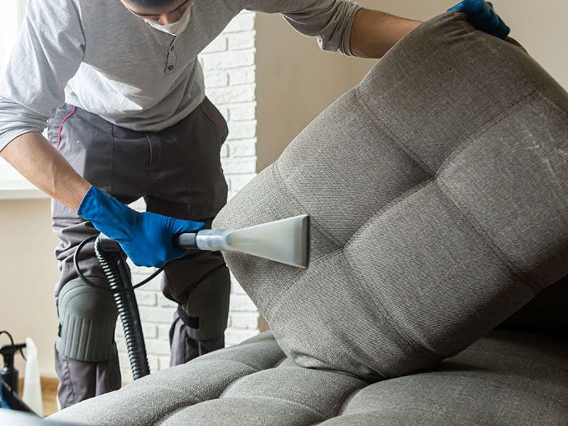 carpet cleaning Christchurch